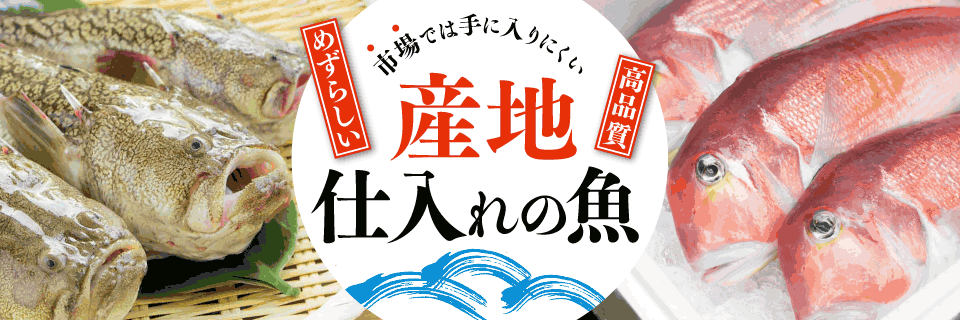 全席個室 大人の隠れ家居酒屋 四季彩 関内駅前店（関内・馬車道/居酒屋） -