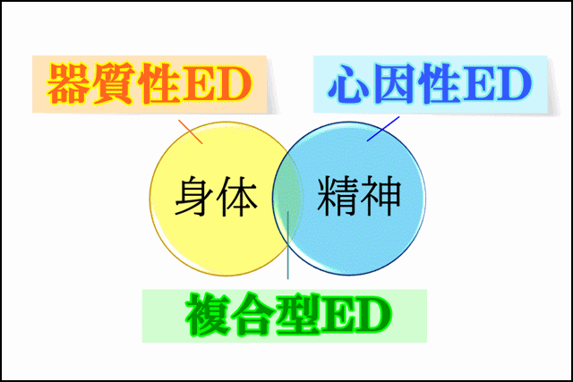 EDの症状と行動１００選 ～EDを卒業するために必要なこと～ |