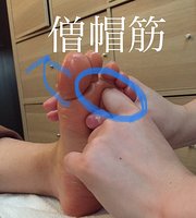 足つぼ講座】 本日は僧帽筋🙋 僧帽筋は首から背中にむかってついている筋肉で、1番表面にある筋肉です！肩こりをおこす主要な筋肉なので刺激してほぐしてあげましょう✨ 