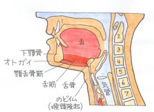 仏教界を揺るがす喉(のど)仏の真実発見！】皆さんご存じでしたか？ | 絵とゴロで楽しく覚えるクスリの名前