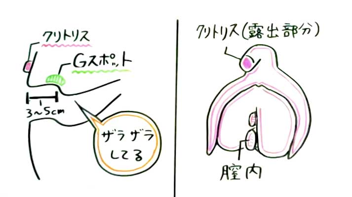 中イキのやり方・コツとは？膣イキにおすすめの体位やコツを丁寧解説【快感スタイル】