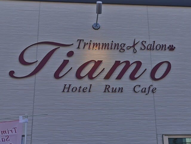 Cafe Tiamo （カフェ ティアモ）