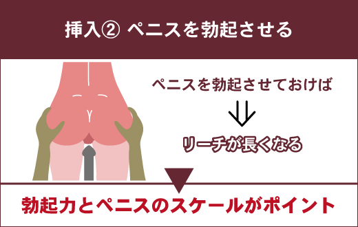 バックセックス(後背位)の気持ちいいやり方はコレ！挿入・腰の振り方のコツ│熟女動画を見るならソクヨム