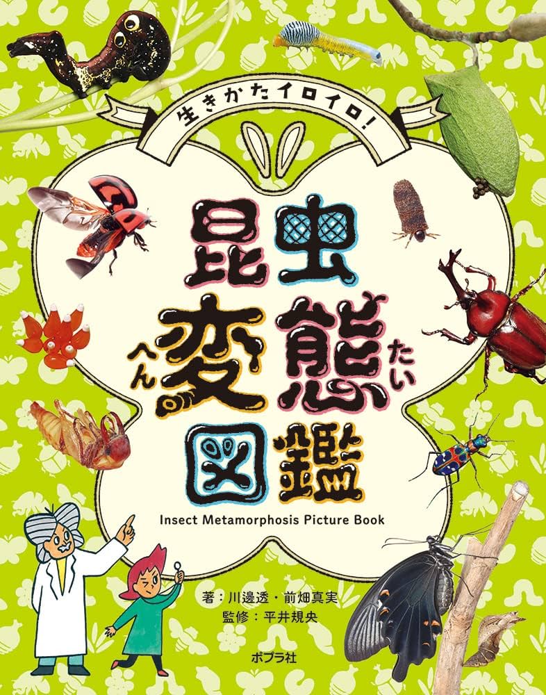 変態ヤクザとアブナイ愛人契約～骨の髄までしゃぶられＨ～【単行本版】の作品一覧｜晴海にいな｜LINE マンガ