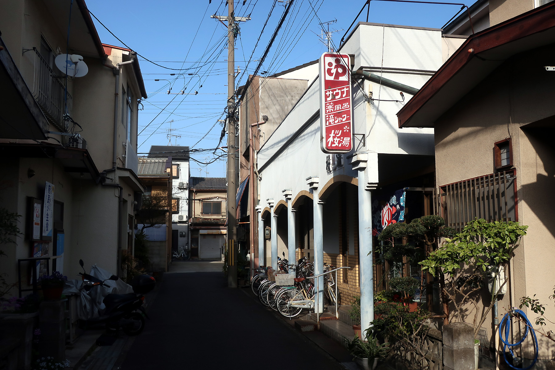 桜湯 | 【公式】京都銭湯 京都の銭湯100軒以上をご紹介