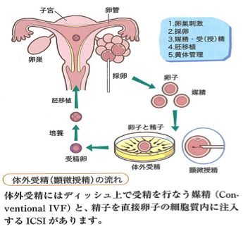 妊活のために男性がやるべきこと｜BELTA