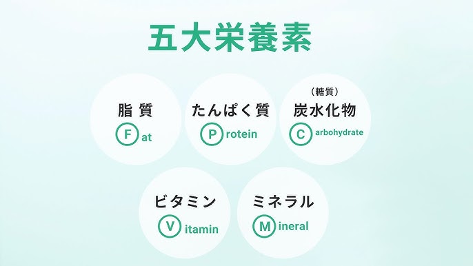 五大栄養素の働きは？多く含む食品やバランス良くとり入れる食事も解説 | ヘルスケア | FANCL