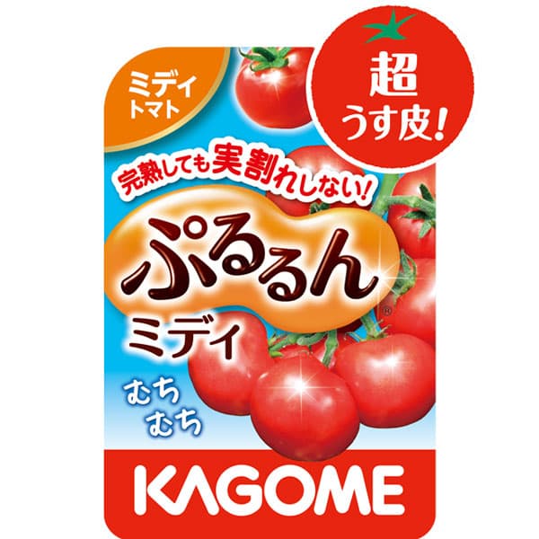 ぷるるん！トラベラー | サンテレビの毎週火曜日２６時オンエアのぷるるん！トラベラー 旅とカルチャーのぷるるんバラエテイー番組です。