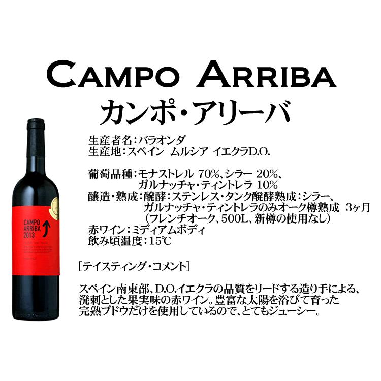 ARRIBA CASES ( アリーバケース