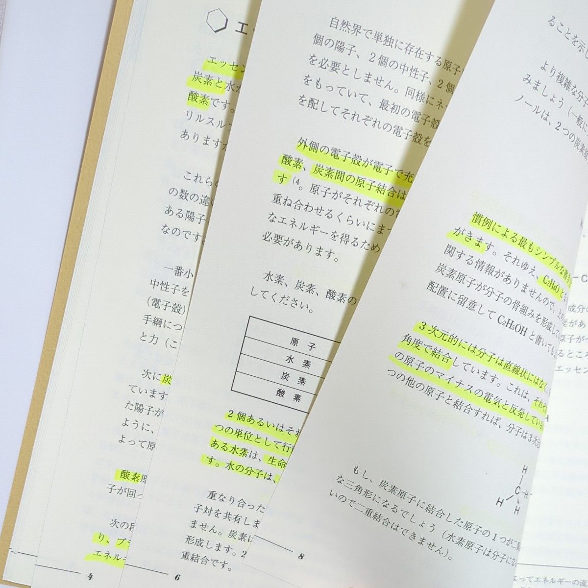 香り」のプロの散歩術とは？ アロマセラピスト熊谷千津さんと歩く神宮の杜、代々木公園｜さんたつ by 散歩の達人