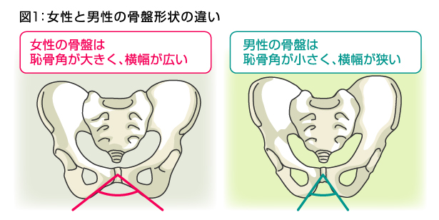 腰の振り方がなってないな。変われ。 | 写真で一言ボケて(bokete)