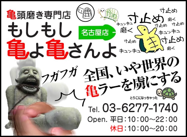 もしもし亀よ亀さんよ-名古屋亀頭責め専門デリヘルみんなでつくるガチンコ体験レビュー - 名古屋風俗口コミ速報-オキニラブ-Okinilove