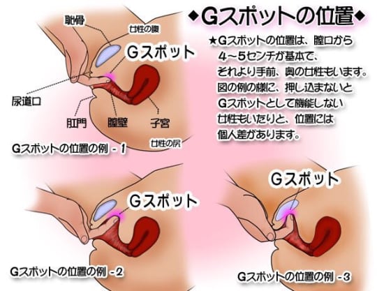 正常位でのセックスのやり方を画像で解説 | 種類はいくつ知ってる？