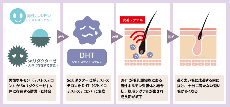 モヤモヤ相談室】「男性のオナニーの正しい仕方が知りたい」NEW!!! – withセイシル