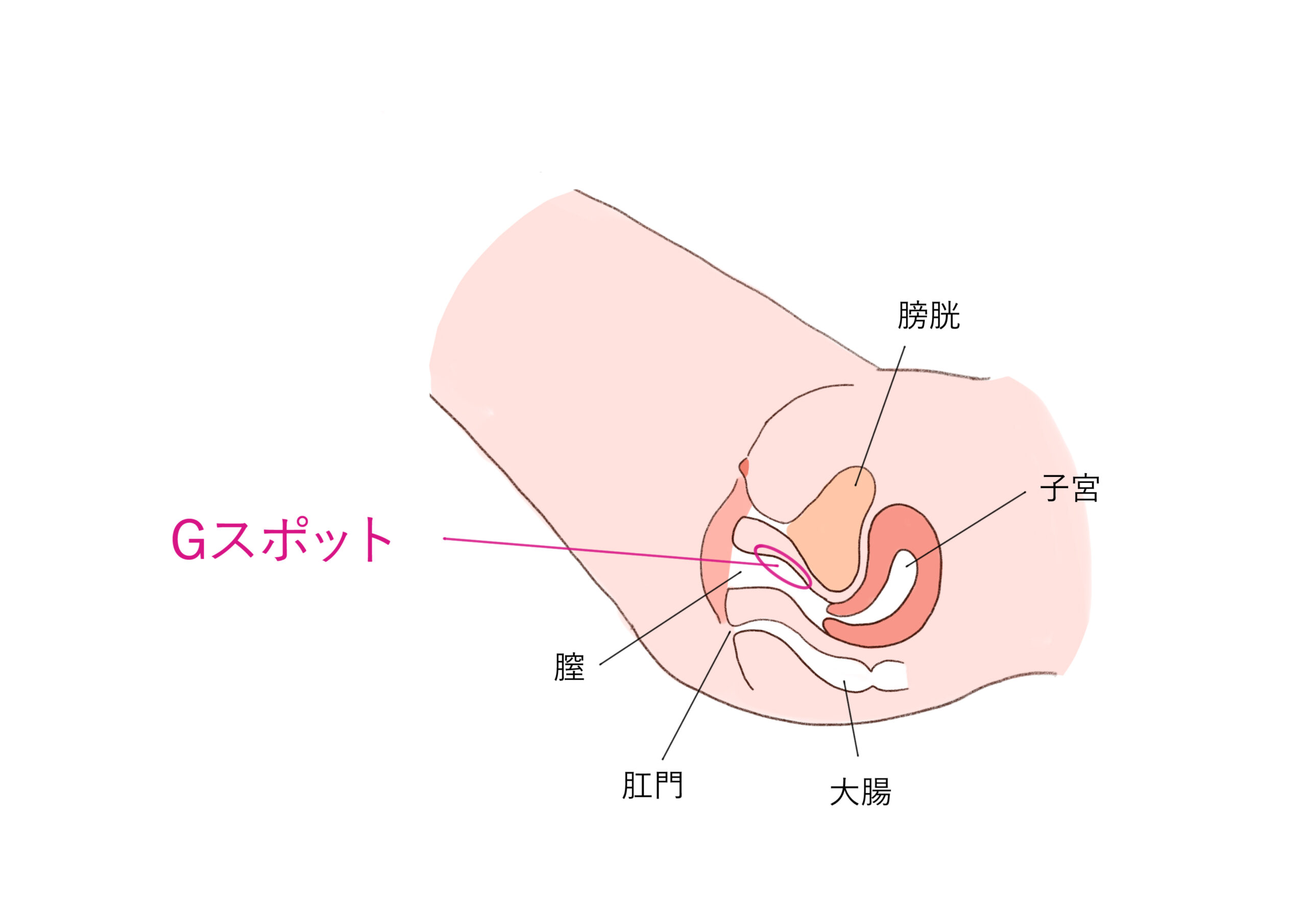 オナニー連続イキ・同時イキって何？概要やオナニーのやり方、コツを紹介 | 【ナイショトーク】恋愛・テクニック・友達には話せない本音