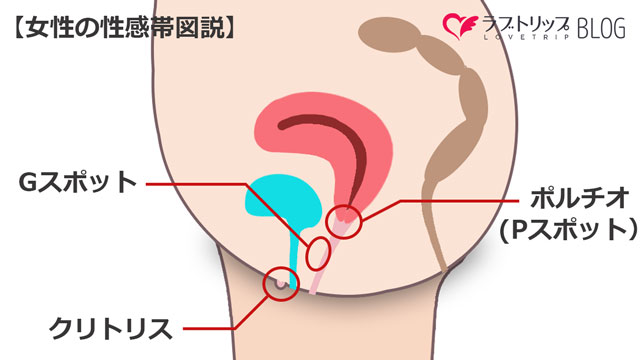 Gスポットを開発してイク方法を徹底解説！感じない女性でもイケるバイブでの刺激の仕方【快感スタイル】