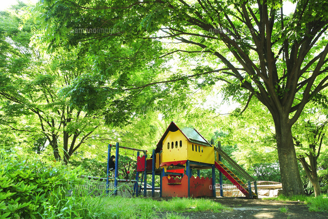 祖師谷公園 みんなの森（公園） | MEQQE（めっけ）