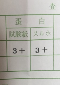 尿蛋白陽性と言われたら―蛋白尿の基準値や原因とは― | 市川駅前本田内科クリニック