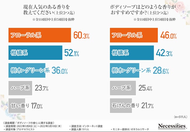 ディブ オリーブ＆アルガン ボディソープ 本体