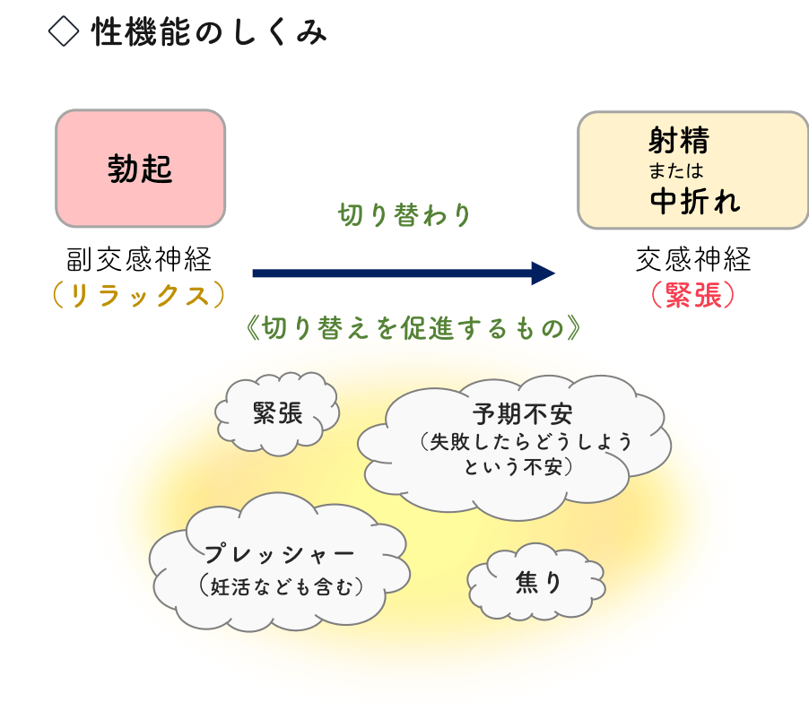 newTOKYO（ニュートーキョー） | 【医師に聞く】「好きな時に、好きなように射精すればいいじゃない」。夢精 についてアレコレ質問したら名言返ってきちゃった。