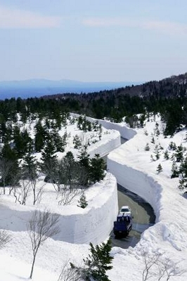 青森市で相次ぐタクシー廃業…背景は？ “青森県最古”珍田タクシー破産開始決定に市民困惑（2024年11月11日掲載）｜青森放送NEWS NNN