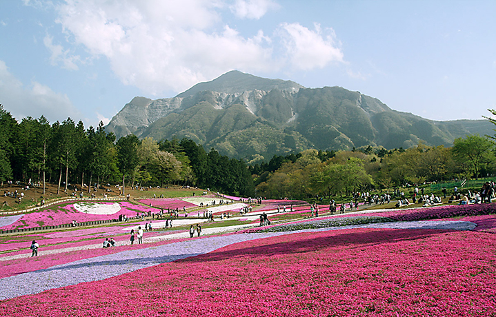 Amazon.co.jp: 埼玉県 秩父郡誌: