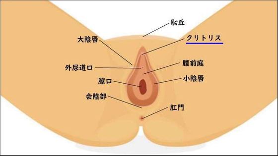 彼女をイカせる心理テクニック 恋とエッチに使える！女の子を気持ちよくするための心のコントロール術！！ ＳＡＮＷＡ  ＭＯＯＫ／マニアックラブ研究会(編者)の通販