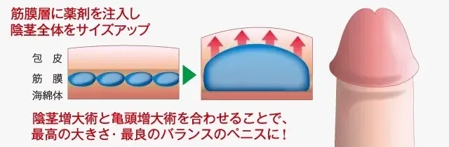 三宮つばきのベロチューがエロい接吻性交 - 特定保管庫