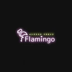 Flamingo(フラミンゴ) | 日本橋 | メンズエステ・アロマの【エステ魂】