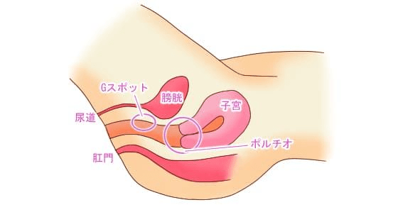 彼氏を骨抜きにする！最強フェラで潮吹きさせるテクニック5つ | 風俗部