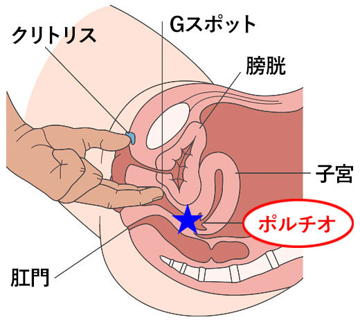 体外式ポルチオ性感開発イクイク子宮手コキ中出し痴女 美谷朱里