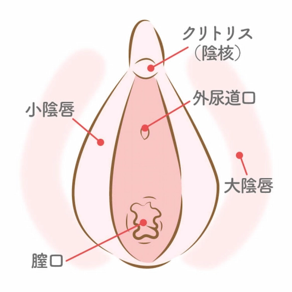 クリトリスオナニーやり方！イク方法とコツ - 夜の保健室