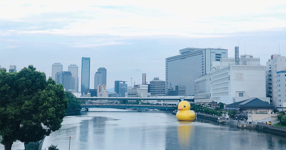 Ducks(ダックス) (@ducks_jp) • Instagram photos