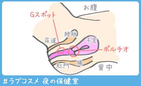 ポルチオ開発漫画】女性が深イキ出来る場所の見つけ方や方法は？