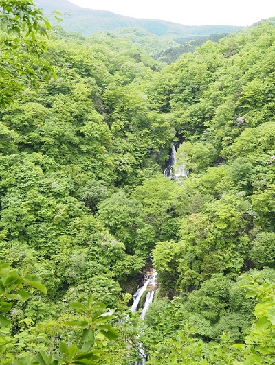 リエ🪽きれい、のサポートセラピスト✨ | 滝の落ちてくる飛沫が