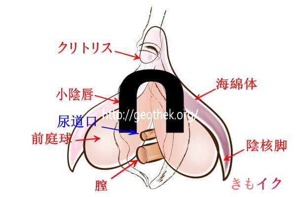 BL同人誌】主人公が寝てると突然尿道からナメクジみたいな生物に寄生されてしまい…身体の中でどんどんでかくなる触手に飲み込まれて全身性感帯になって快楽堕ちしてしまう！【オリジナル】  | BLアーカイブ