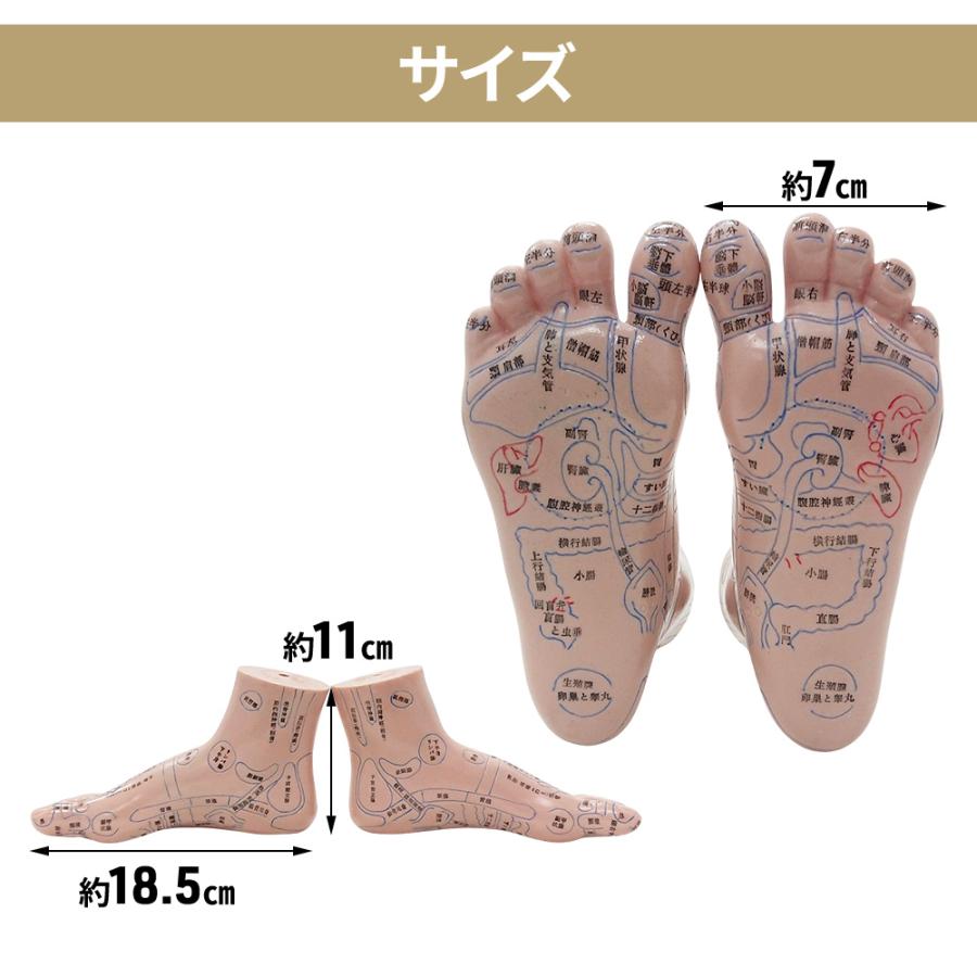 リフレクソロジーと足つぼマッサージの違いを徹底解説