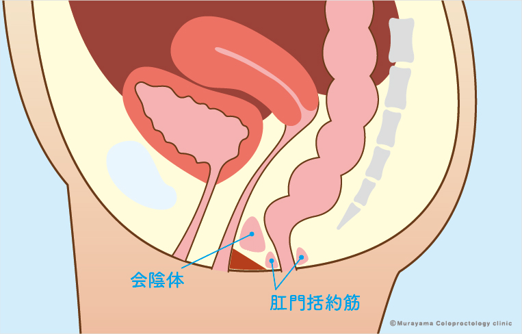 肛門周囲膿瘍・痔ろう | 岡山市 肛門科【おくむら大腸肛門クリニック】麻酔下大腸内視鏡