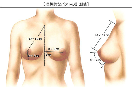 超超超太くてふっくらとした胸 1.3,密接な胸部構図を描く 1.3、下向きの乳輪が超