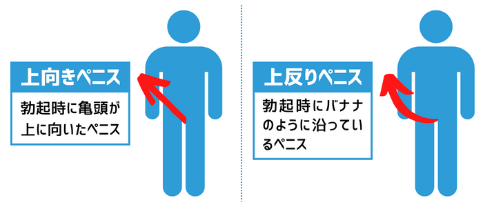 ホンクレｃｈコラボ】このペニスが忘れられない！最強のペニスとは？ – メンズ形成外科 | 青山セレス&船橋中央クリニック