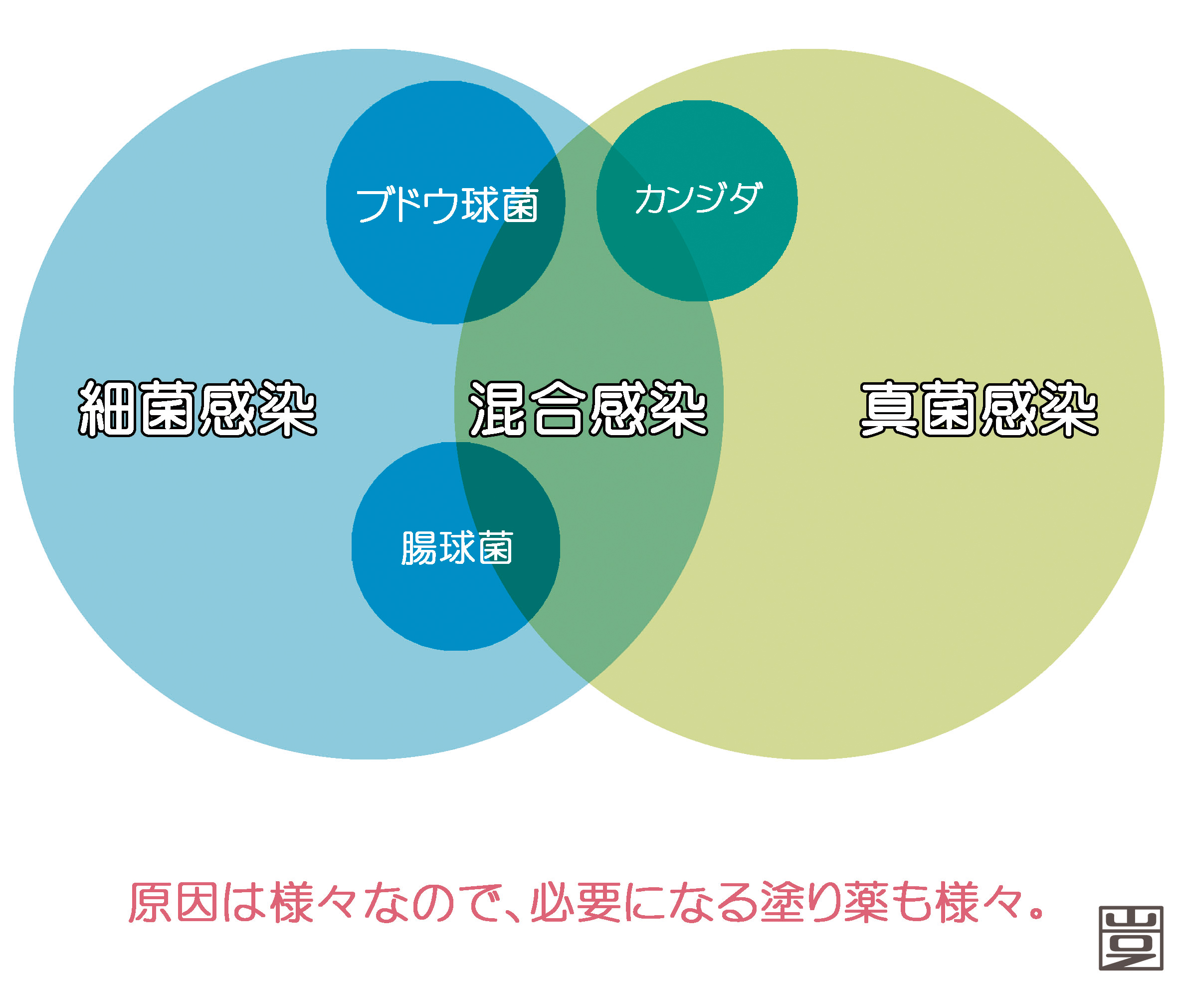 包茎の人は性病になりやすい？包茎が引き起こすリスクについて | GME医学検査研究所