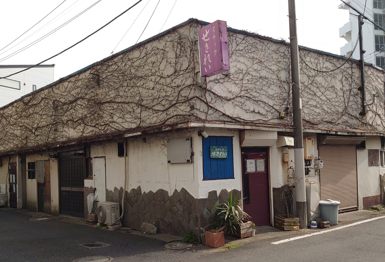 藤沢市 消えた小鳥の街 | Nostalgic Landscape