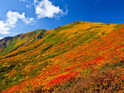 栗原の宿・ホテル・旅館一覧 【るるぶトラベル】で宿泊予約