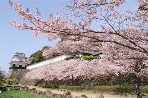 HOTEL NIKKO 鶯谷 (ホテル ニッコウ