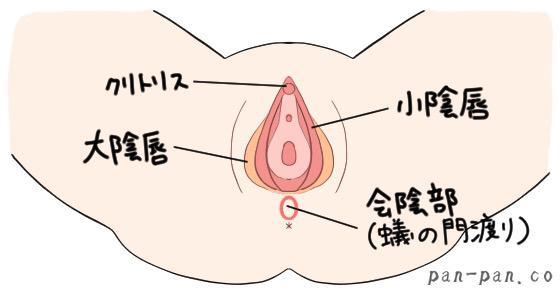 性感帯とは？女性の感じやすい場所や開発法 - 夜の保健室