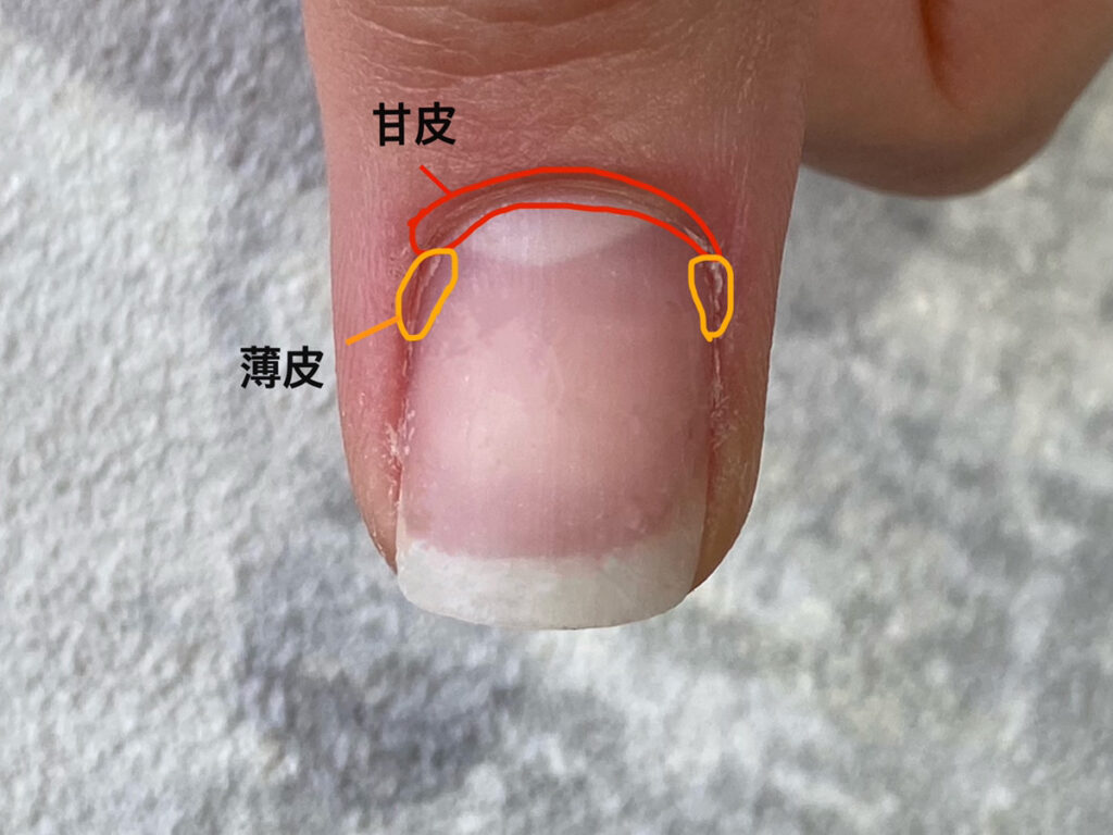 ネイリストが解説】セルフ甘皮処理のやり方|おすすめの道具や注意点も│看護師ライフをもっとステキに ナースプラス