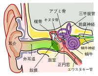 ♡茨城県唯一のイヤーエステサロン, MONTYの小林です。, ⚠️閲覧注意です⚠️,