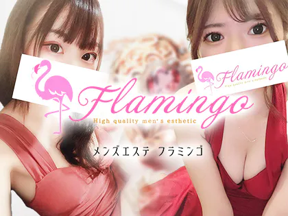 Flamingo (フラミンゴ) 佐々木みな