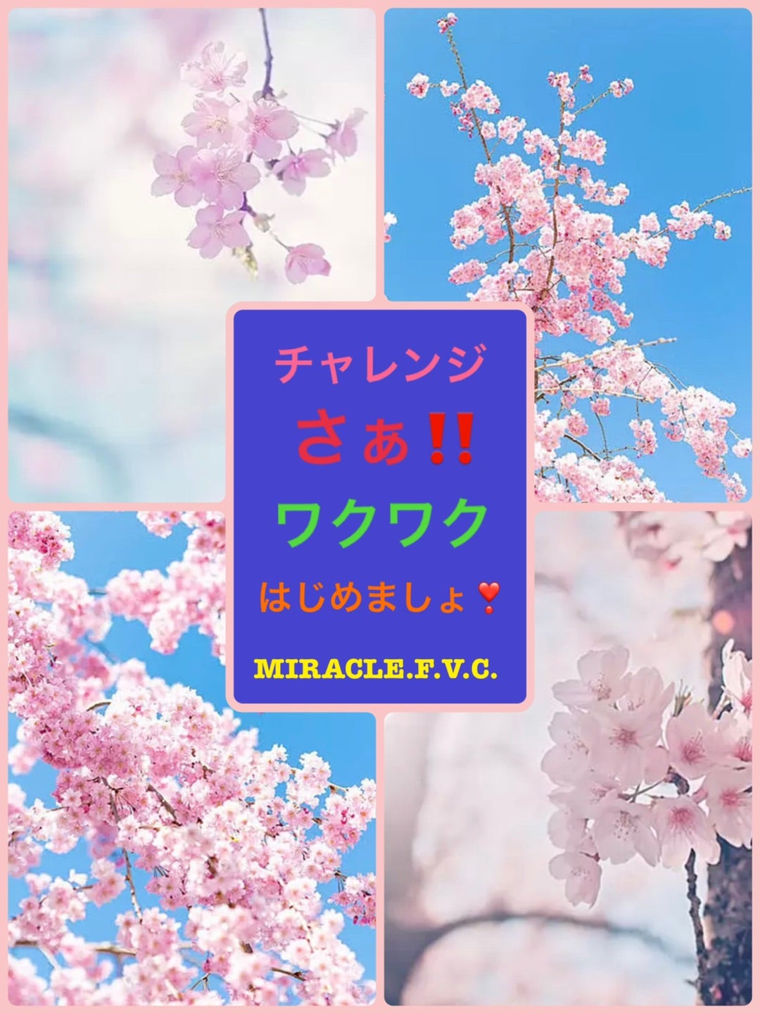 若槻千夏、全力で「月にかわっておしおきよ！」 セーラームーン展の見どころ解説 | アニメニュース