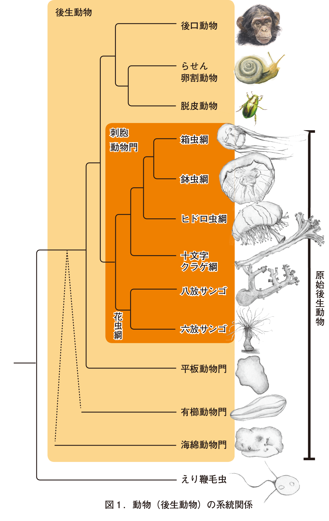 1994年に起きた中華航空140便墜落事故 ハイテク機の落とし穴｜ザ！世界仰天ニュース｜日本テレビ